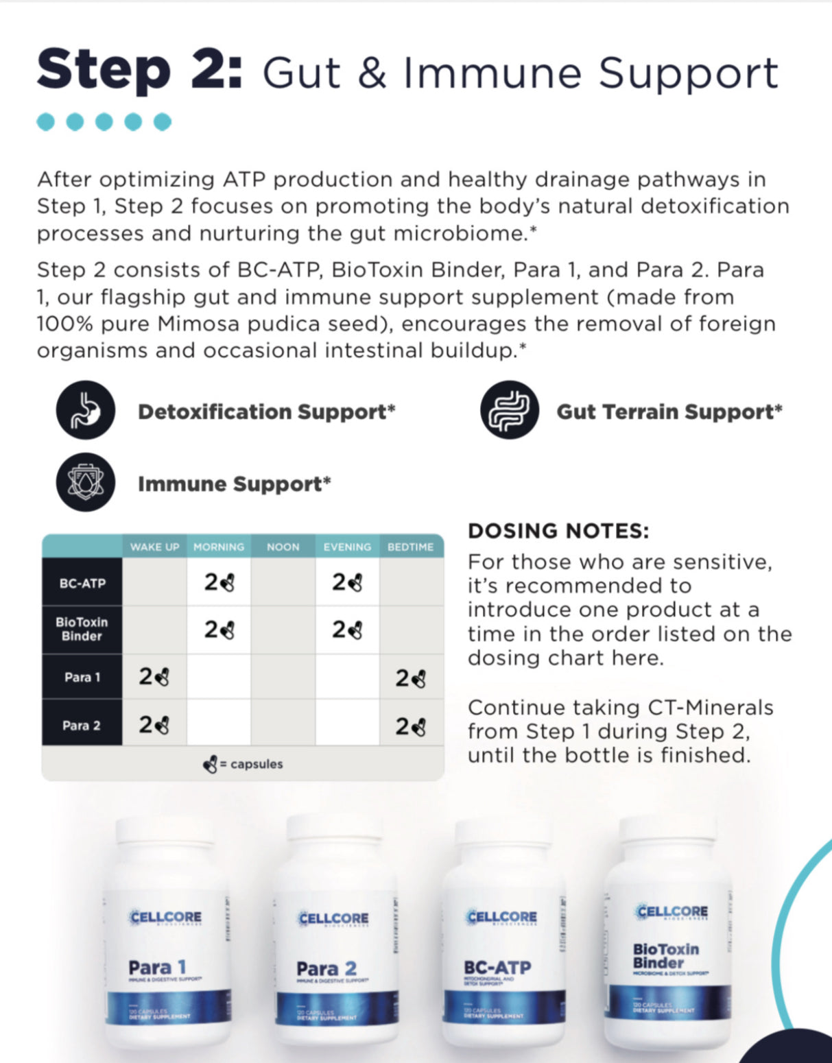 Foundational Protocol Phase 2