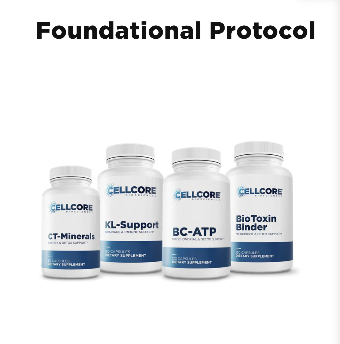 Foundational Protocol
