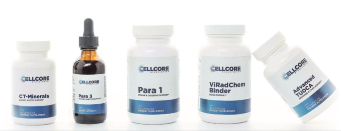 Foundational protocol phase 3